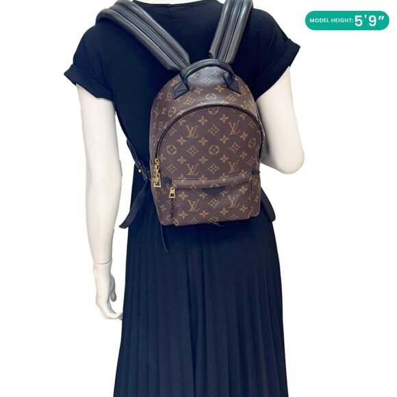 Louis Vuitton  Palm Spring PM Monogram Canvas Backpack Brown - Picture 2 of 16